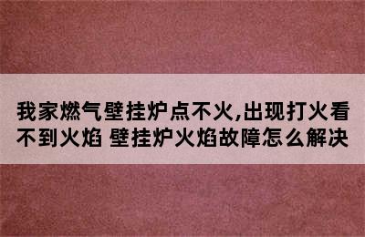 我家燃气壁挂炉点不火,出现打火看不到火焰 壁挂炉火焰故障怎么解决